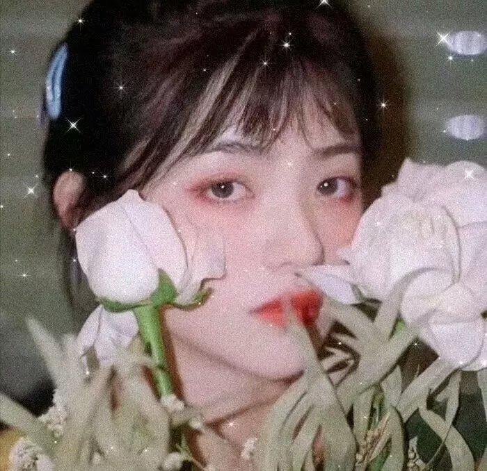 暴劫追缉